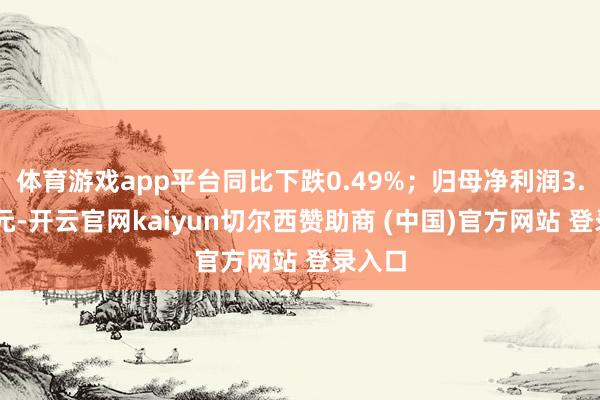 体育游戏app平台同比下跌0.49%；归母净利润3.05亿元-开云官网kaiyun切尔西赞助商 (中国)官方网站 登录入口