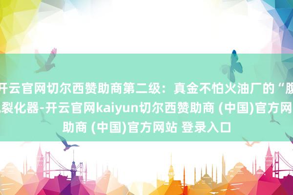 开云官网切尔西赞助商第二级：真金不怕火油厂的“腹黑”——加氢裂化器-开云官网kaiyun切尔西赞助商 (中国)官方网站 登录入口