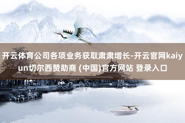 开云体育公司各项业务获取肃肃增长-开云官网kaiyun切尔西赞助商 (中国)官方网站 登录入口