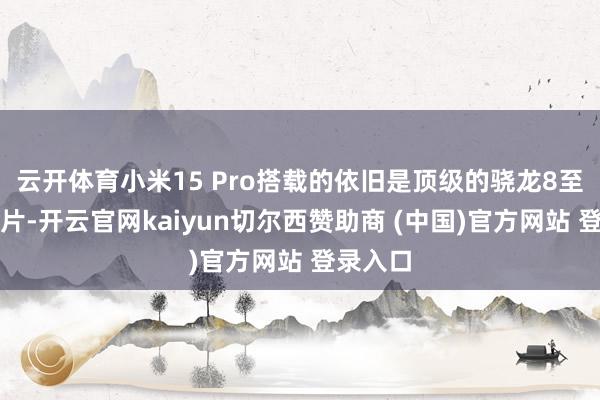 云开体育小米15 Pro搭载的依旧是顶级的骁龙8至尊版芯片-开云官网kaiyun切尔西赞助商 (中国)官方网站 登录入口